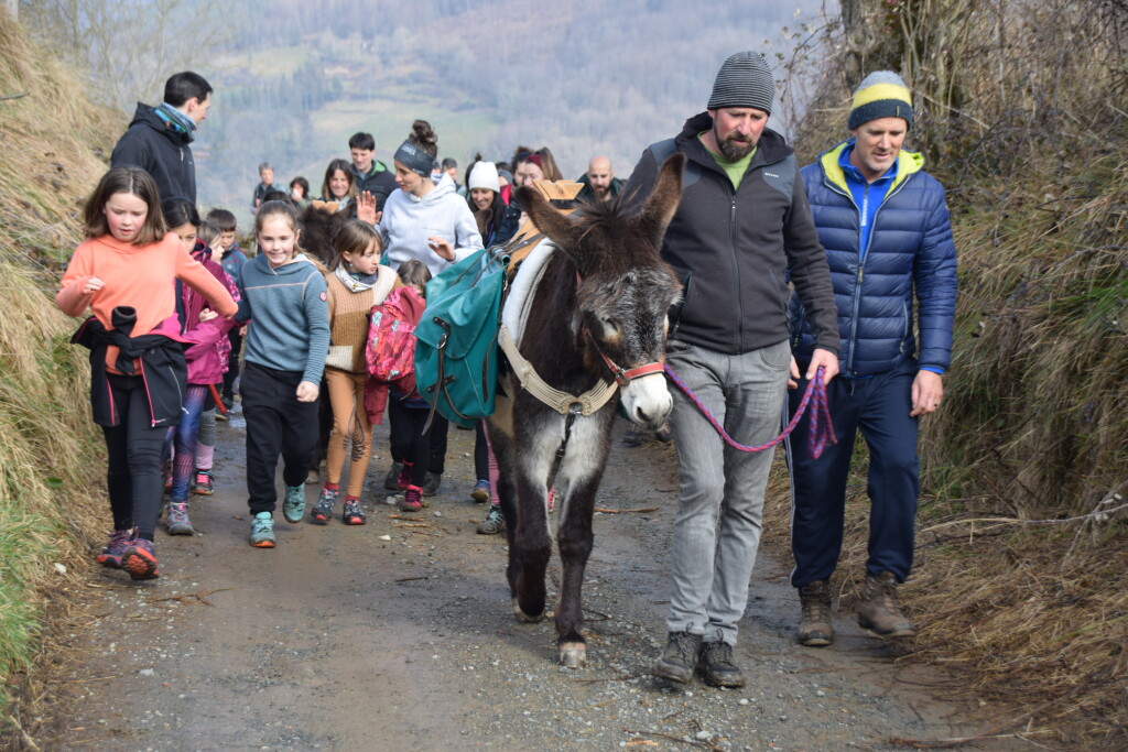 Visita a las bordas con burros