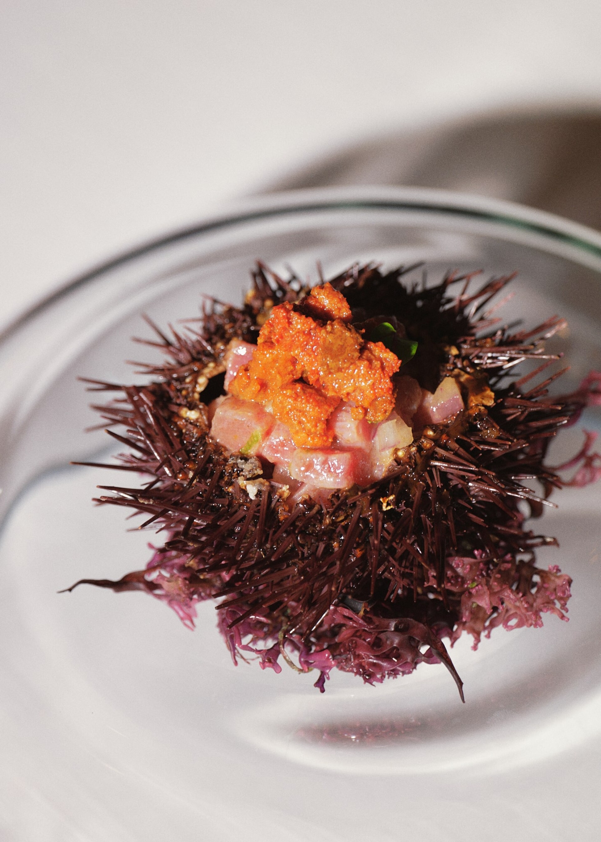 /uploads/image/1744195750_puente_colgante_boutique_hotel_barfood_45jpeg_2048px_fur_webanwendung_min_lg.jpg
